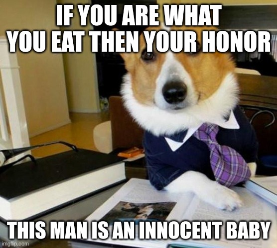 Lawyer Corgi Dog | IF YOU ARE WHAT YOU EAT THEN YOUR HONOR THIS MAN IS AN INNOCENT BABY | image tagged in lawyer corgi dog | made w/ Imgflip meme maker