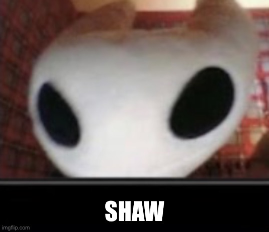 High Quality SHAW Blank Meme Template