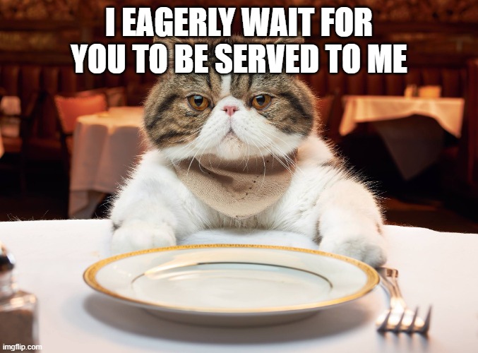 hungry cat | I EAGERLY WAIT FOR YOU TO BE SERVED TO ME | image tagged in hungry cat | made w/ Imgflip meme maker