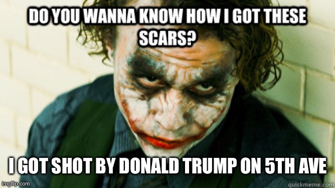 Do you wanna know how i got these scars | I GOT SHOT BY DONALD TRUMP ON 5TH AVENUE | image tagged in do you wanna know how i got these scars | made w/ Imgflip meme maker