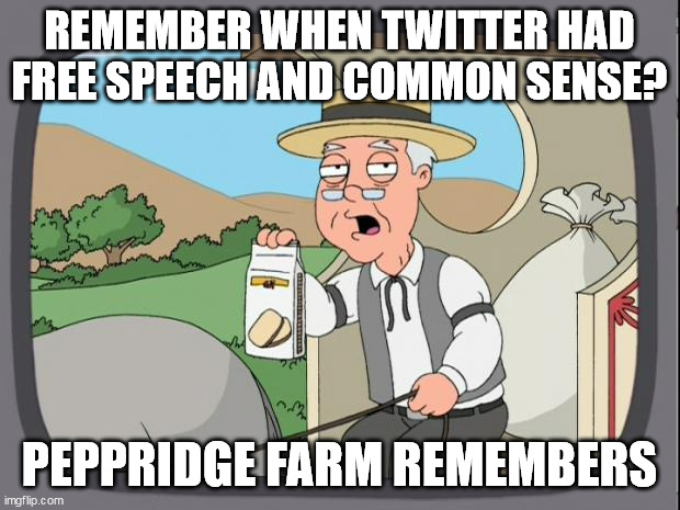 twitter | REMEMBER WHEN TWITTER HAD FREE SPEECH AND COMMON SENSE? PEPPRIDGE FARM REMEMBERS | image tagged in peperidge | made w/ Imgflip meme maker