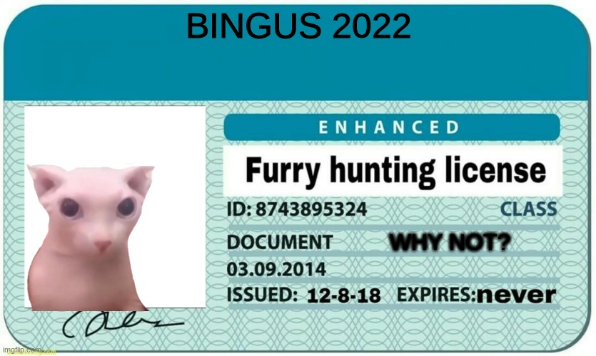 bingus |  BINGUS 2022; WHY NOT? | image tagged in furry hunting license | made w/ Imgflip meme maker