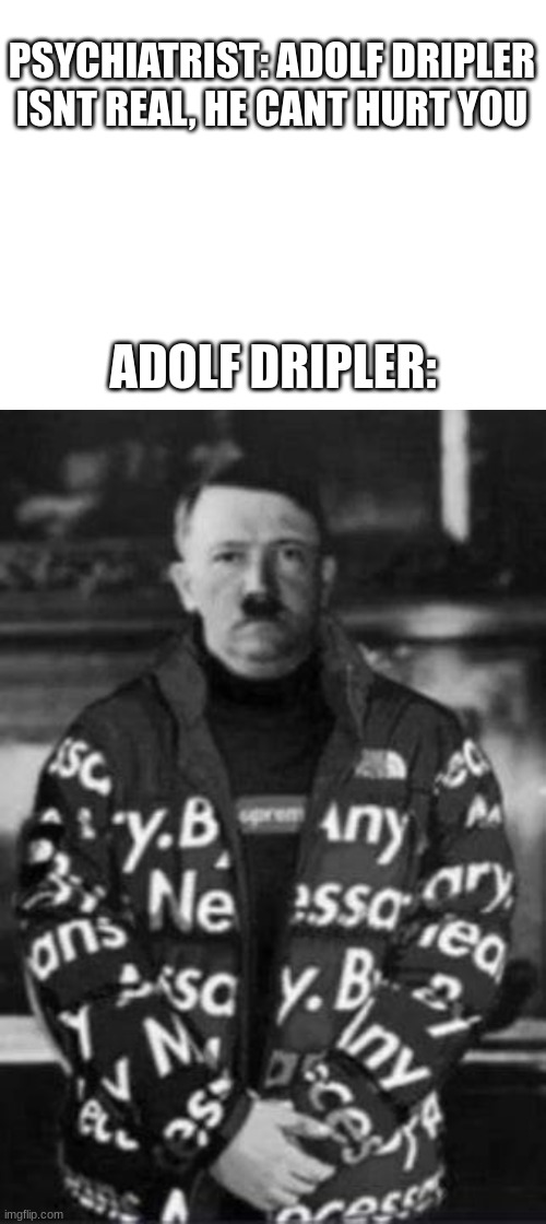 funny title | PSYCHIATRIST: ADOLF DRIPLER ISNT REAL, HE CANT HURT YOU; ADOLF DRIPLER: | image tagged in funny | made w/ Imgflip meme maker