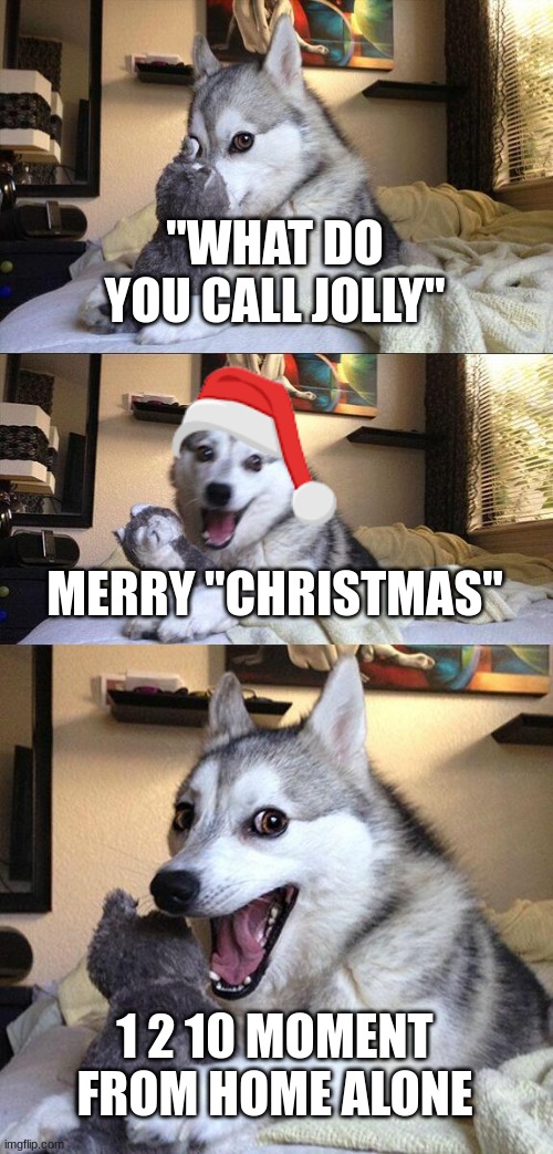 one two TEN | "WHAT DO YOU CALL JOLLY"; MERRY "CHRISTMAS"; 1 2 10 MOMENT FROM HOME ALONE | image tagged in memes,bad pun dog | made w/ Imgflip meme maker