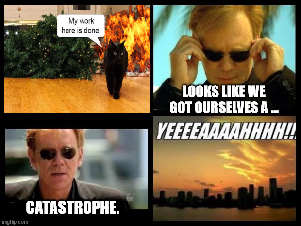 CSI | LOOKS LIKE WE GOT OURSELVES A ... CATASTROPHE. | image tagged in csi | made w/ Imgflip meme maker