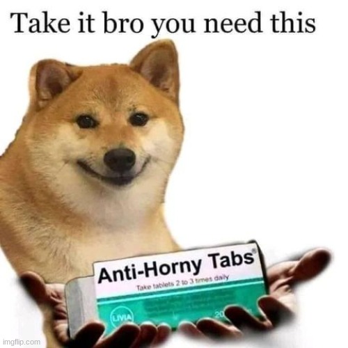 @spamtonNEO. | image tagged in take it bro you need this | made w/ Imgflip meme maker