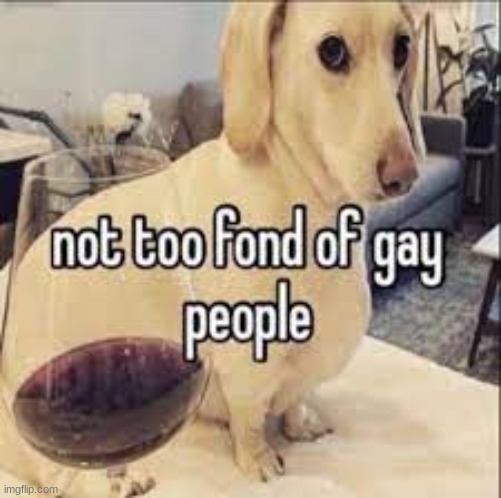 /srs | image tagged in not too fond of gay people | made w/ Imgflip meme maker