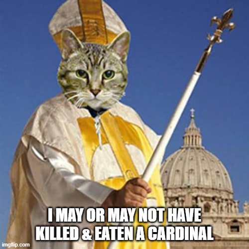 I MAY OR MAY NOT HAVE KILLED & EATEN A CARDINAL | made w/ Imgflip meme maker