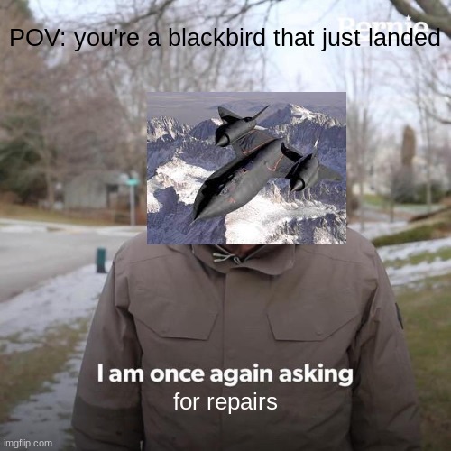 SO. MANY. REPAIRS. | POV: you're a blackbird that just landed; for repairs | image tagged in memes,bernie i am once again asking for your support | made w/ Imgflip meme maker