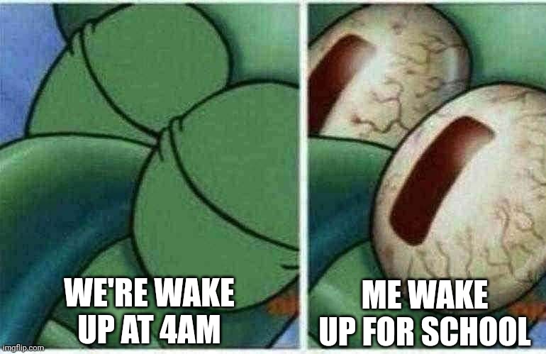 !!Ohio!! | WE'RE WAKE UP AT 4AM; ME WAKE UP FOR SCHOOL | image tagged in squidward,ohio,why,school sucks,funny memes,dank memes | made w/ Imgflip meme maker