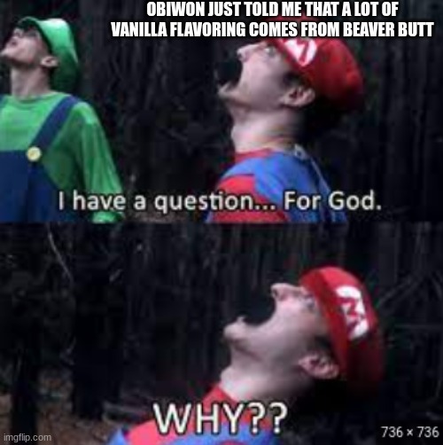 WHY | OBIWON JUST TOLD ME THAT A LOT OF VANILLA FLAVORING COMES FROM BEAVER BUTT | image tagged in why | made w/ Imgflip meme maker
