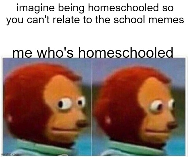 any other homeschoolers out there?? | imagine being homeschooled so you can't relate to the school memes; me who's homeschooled | image tagged in memes,monkey puppet,homeschool | made w/ Imgflip meme maker