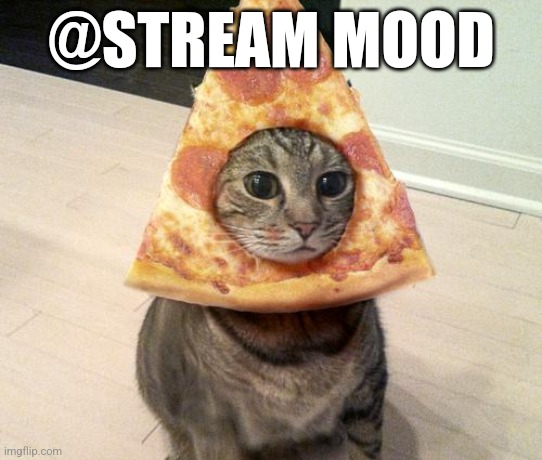 INSTANT CHINESE/ITALIAN FOOD JESSE! | @STREAM MOOD | image tagged in pizza cat | made w/ Imgflip meme maker