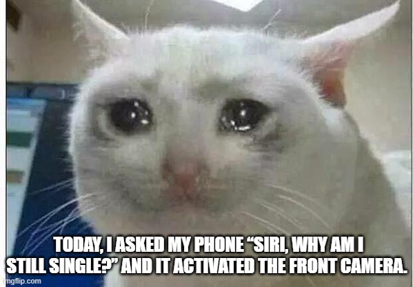 crying cat | TODAY, I ASKED MY PHONE “SIRI, WHY AM I STILL SINGLE?” AND IT ACTIVATED THE FRONT CAMERA. | image tagged in crying cat | made w/ Imgflip meme maker