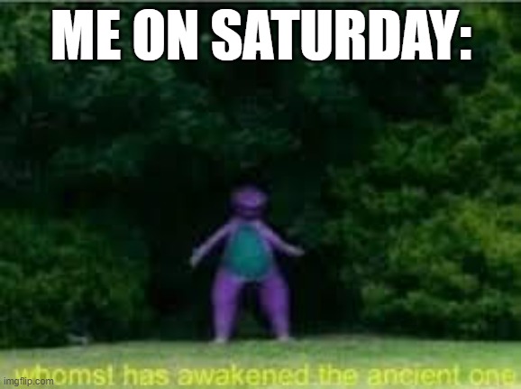 saturdayy:) | ME ON SATURDAY: | image tagged in funny memes | made w/ Imgflip meme maker