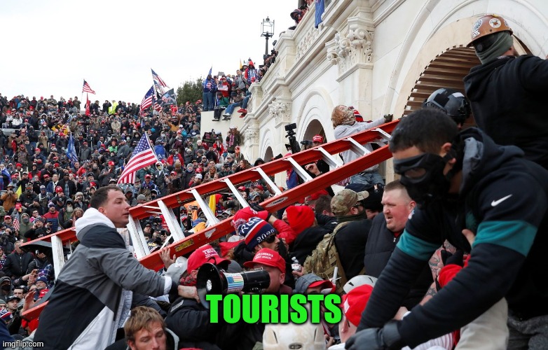 Qanon - Insurrection - Trump riot - sedition | TOURISTS | image tagged in qanon - insurrection - trump riot - sedition | made w/ Imgflip meme maker