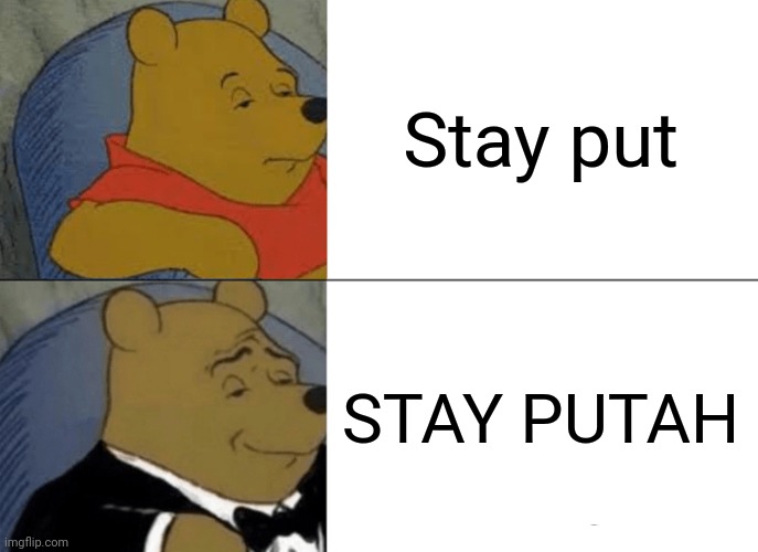 So, its something I said while playing roblox  doors w my bestie (I play roblox, ik  cringe right?) | Stay put; STAY PUTAH | image tagged in memes,tuxedo winnie the pooh | made w/ Imgflip meme maker