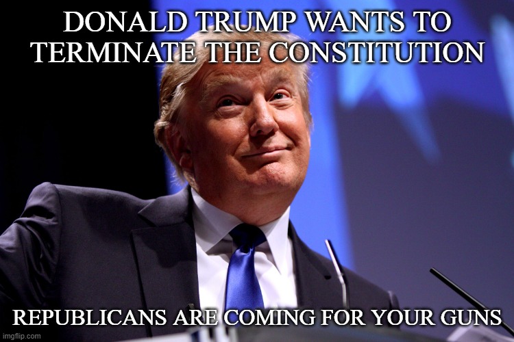 Donald Trump No2 | DONALD TRUMP WANTS TO TERMINATE THE CONSTITUTION; REPUBLICANS ARE COMING FOR YOUR GUNS | image tagged in donald trump no2 | made w/ Imgflip meme maker