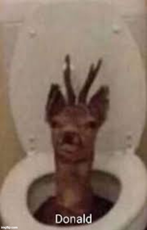 Donald | made w/ Imgflip meme maker