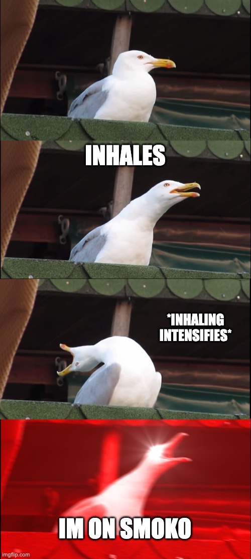 Inhaling Seagull | INHALES; *INHALING INTENSIFIES*; IM ON SMOKO | image tagged in memes,inhaling seagull | made w/ Imgflip meme maker