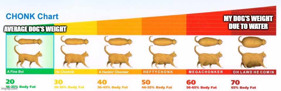 what is your dogs? | MY DOG'S WEIGHT DUE TO WATER; AVERAGE DOG'S WEIGHT | image tagged in chonk chart | made w/ Imgflip meme maker