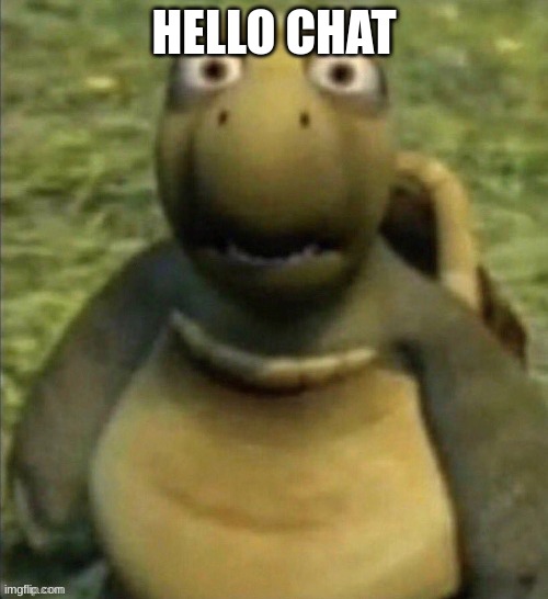 Distressed Vern | HELLO CHAT | image tagged in bruh | made w/ Imgflip meme maker