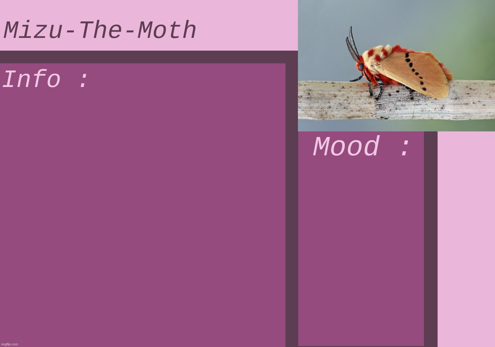 High Quality Mizu-The-Moth Blank Meme Template