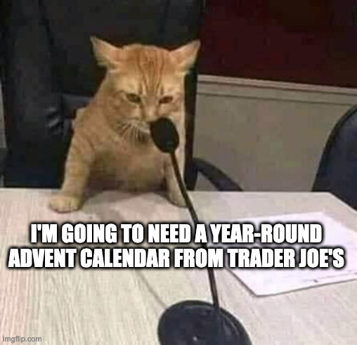 Cat Wants Year Round Advent Calendar from Trader Joe's | I'M GOING TO NEED A YEAR-ROUND ADVENT CALENDAR FROM TRADER JOE'S | image tagged in cat on mic | made w/ Imgflip meme maker