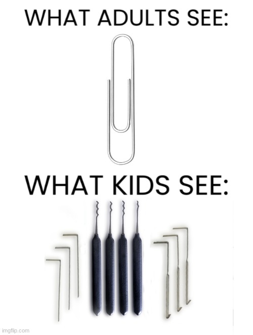 i tried lock picking my own door so many times with these | image tagged in what adults see what kids see | made w/ Imgflip meme maker