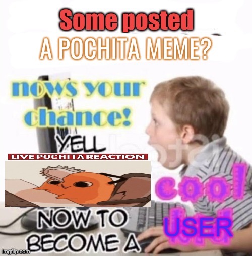 Someone posted a Pochita meme? | image tagged in someone posted a pochita meme | made w/ Imgflip meme maker