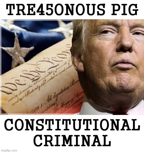its official | image tagged in treason,pig,constitution,criminal,donald trump the clown | made w/ Imgflip meme maker