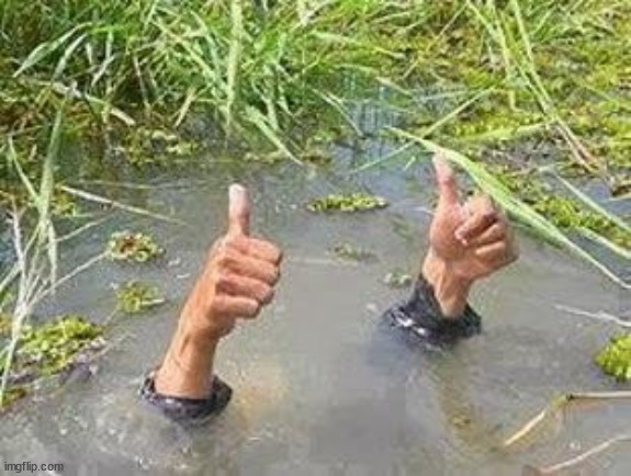 FLOODING THUMBS UP | image tagged in flooding thumbs up | made w/ Imgflip meme maker