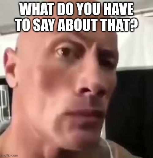 The Rock Eyebrows | WHAT DO YOU HAVE TO SAY ABOUT THAT? | image tagged in the rock eyebrows | made w/ Imgflip meme maker