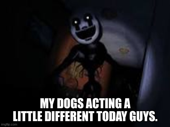 not sure why | MY DOGS ACTING A LITTLE DIFFERENT TODAY GUYS. | image tagged in fnaf,five nights at freddys | made w/ Imgflip meme maker