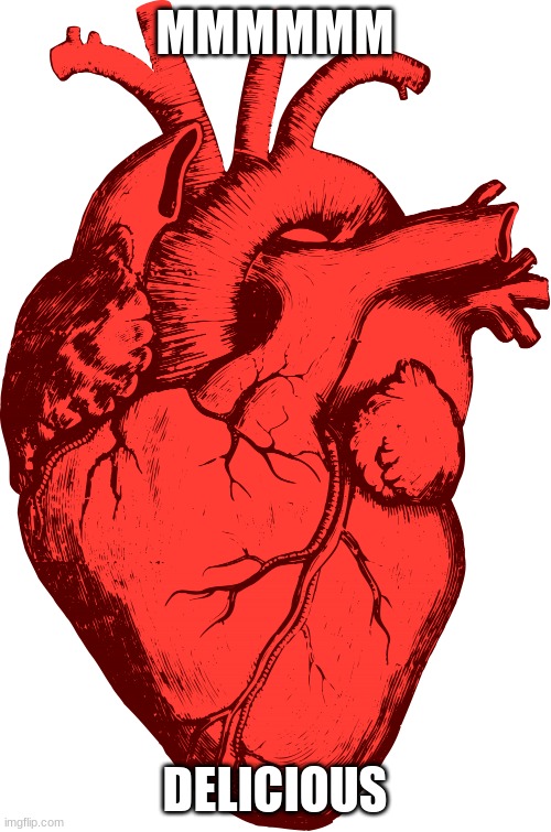 Human heart | MMMMMM DELICIOUS | image tagged in human heart | made w/ Imgflip meme maker