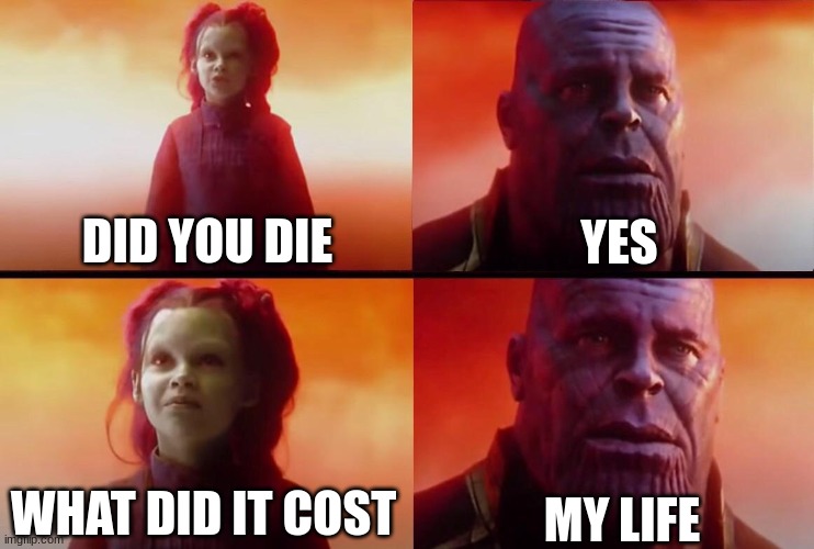 What did it cost? | DID YOU DIE YES WHAT DID IT COST MY LIFE | image tagged in what did it cost | made w/ Imgflip meme maker