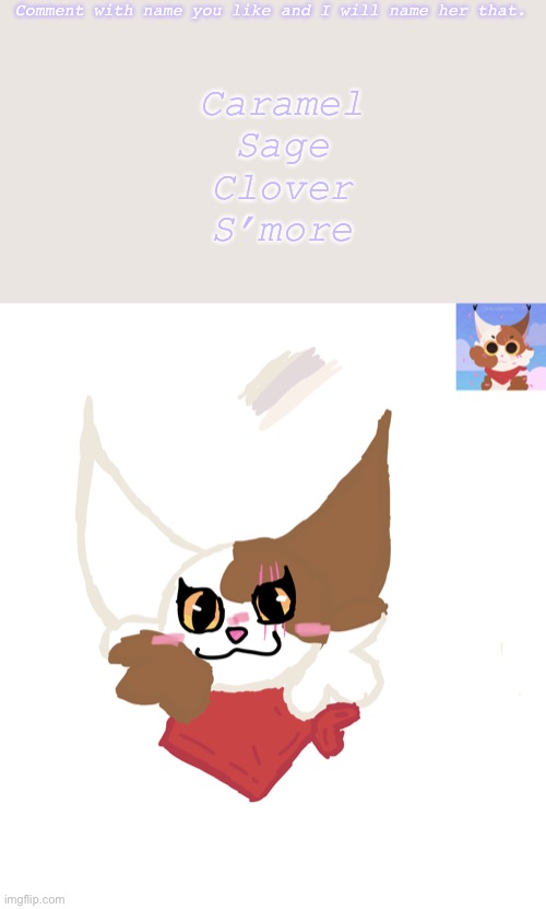 Comment with name you like and I will name her that. Caramel
Sage
Clover
S’more | image tagged in cat | made w/ Imgflip meme maker