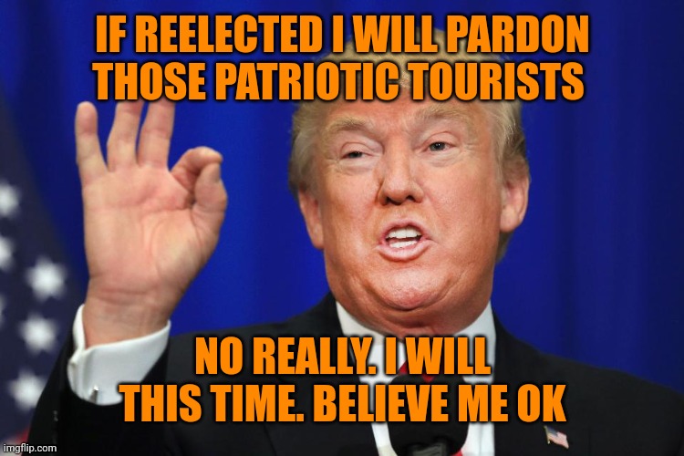trump promise | IF REELECTED I WILL PARDON THOSE PATRIOTIC TOURISTS NO REALLY. I WILL THIS TIME. BELIEVE ME OK | image tagged in trump promise | made w/ Imgflip meme maker