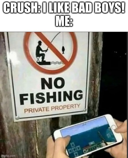 CRUSH: I LIKE BAD BOYS!
ME: | made w/ Imgflip meme maker