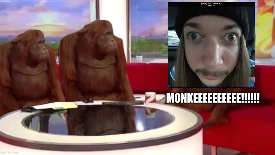 where monkey |  MONKEEEEEEEEEE!!!!!! | image tagged in where monkey,jimmyhere,monke,crackhead | made w/ Imgflip meme maker