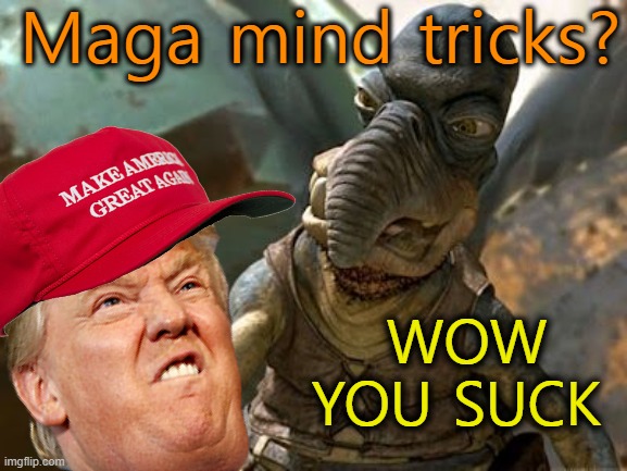 your jedi mind tricks dont work on me | WOW YOU SUCK Maga mind tricks? | image tagged in your jedi mind tricks dont work on me | made w/ Imgflip meme maker