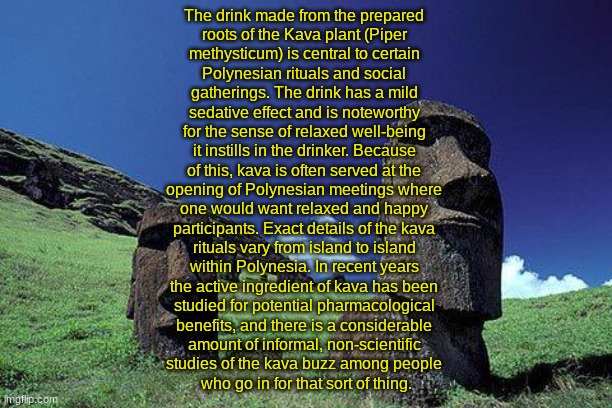 KAVA (By SimoTheFinlandized - 2022 CE) | The drink made from the prepared 
roots of the Kava plant (Piper 
methysticum) is central to certain 
Polynesian rituals and social 
gatherings. The drink has a mild 
sedative effect and is noteworthy 
for the sense of relaxed well-being 
it instills in the drinker. Because 
of this, kava is often served at the 
opening of Polynesian meetings where 
one would want relaxed and happy 
participants. Exact details of the kava 
rituals vary from island to island 
within Polynesia. In recent years 
the active ingredient of kava has been 
studied for potential pharmacological 
benefits, and there is a considerable 
amount of informal, non-scientific 
studies of the kava buzz among people 
who go in for that sort of thing. | image tagged in polynesia,simothefinlandized,drinks,culture,social gatherings | made w/ Imgflip meme maker