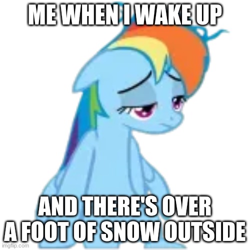 It's true, we can all relate to this. Not my Image !Zom made the image, and with their permission I used the image | ME WHEN I WAKE UP; AND THERE'S OVER A FOOT OF SNOW OUTSIDE | image tagged in mlp,mlp meme,fun,snow,mlp snow | made w/ Imgflip meme maker