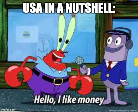 Mr Krabs I like money | USA IN A NUTSHELL: | image tagged in mr krabs i like money | made w/ Imgflip meme maker