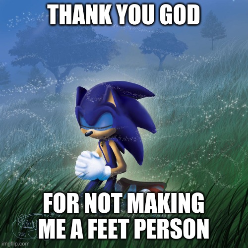 praying sonic | THANK YOU GOD FOR NOT MAKING ME A FEET PERSON | image tagged in praying sonic | made w/ Imgflip meme maker
