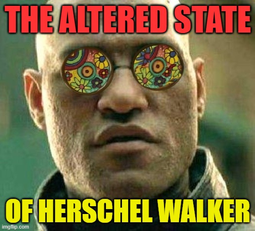 Lucid dream to end in length of tunnel. | THE ALTERED STATE OF HERSCHEL WALKER | image tagged in lucid dream to end in length of tunnel | made w/ Imgflip meme maker
