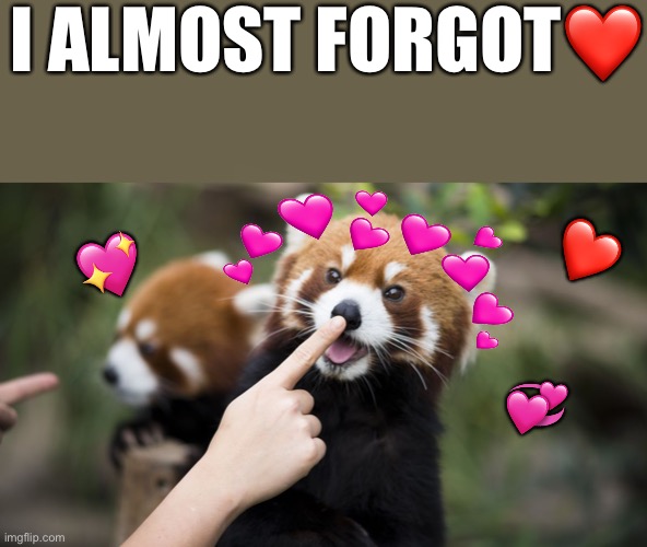 I forgot to boop you fluffy chads <3 | I ALMOST FORGOT❤️; ❤️; 💖; 💞 | image tagged in boop,wholesome | made w/ Imgflip meme maker