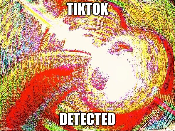 Deep fried hell | TIKTOK DETECTED | image tagged in deep fried hell | made w/ Imgflip meme maker