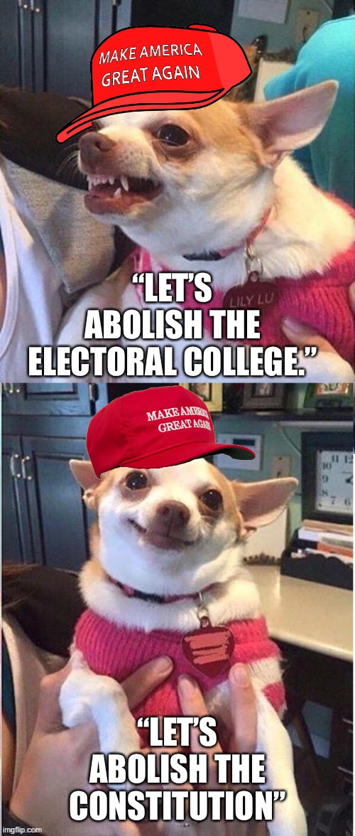 Literally true | “LET’S ABOLISH THE ELECTORAL COLLEGE.”; “LET’S ABOLISH THE CONSTITUTION” | image tagged in angry then happy maga dog- an an0nym0us template,maga | made w/ Imgflip meme maker