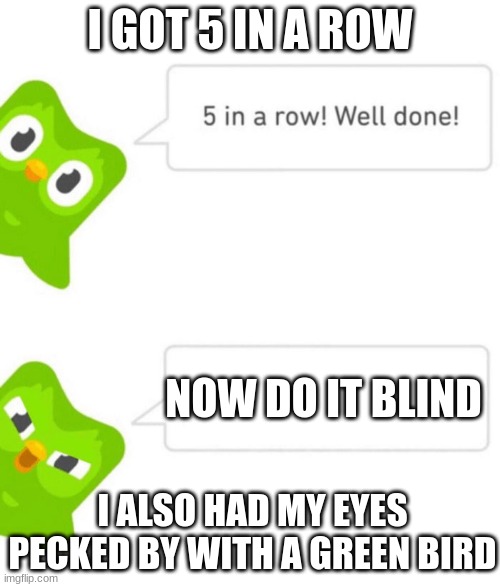 help doulingo |  I GOT 5 IN A ROW; NOW DO IT BLIND; I ALSO HAD MY EYES PECKED BY WITH A GREEN BIRD | image tagged in duolingo 5 in a row | made w/ Imgflip meme maker